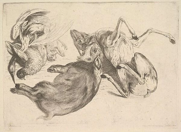 Boar, deer, heron and other game, 1625-77. Creator: Wenceslaus Hollar