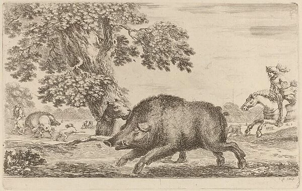 Boar Running to the Left. Creator: Stefano della Bella