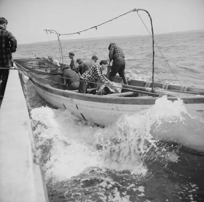 Framed Print : On board the fishing boat Alden, out of Gloucester, Massachusetts, 1943. Creator: Gordon Parks Framed Print : On board the fishing boat Alden, out of Gloucester, Massachusetts, 1943. Creator: Gordon Parks