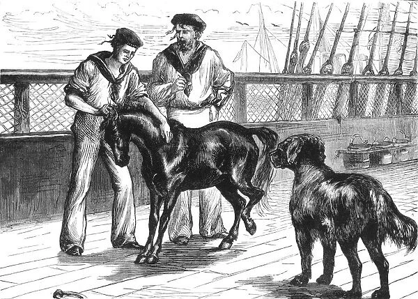 On Board The 'Serapis': The Pony and Thibet Mastiff, c1891. Creator: James Grant