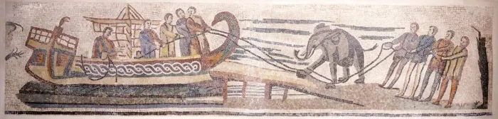 Framed Print : Boarding an elephant on a ship. Artist: Classical Antiquities Framed Print : Boarding an elephant on a ship. Artist: Classical Antiquities