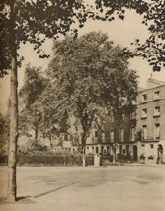 Framed Print : In Boarding-House Land: The Plane Trees of Torrington Square, c1935. Creator: Donald McLeish Framed Print : In Boarding-House Land: The Plane Trees of Torrington Square, c1935. Creator: Donald McLeish