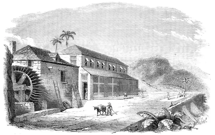 Framed Print : A Bocan, or Cocoa-Drying House in Granada, 1857. Creator: Percy Framed Print : A Bocan, or Cocoa-Drying House in Granada, 1857. Creator: Percy