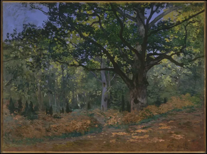 Framed Print : The Bodmer Oak, Fontainebleau Forest, 1865. Artist: Monet, Claude (1840-1926) Framed Print : The Bodmer Oak, Fontainebleau Forest, 1865. Artist: Monet, Claude (1840-1926)
