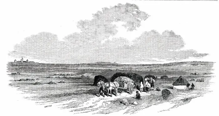 Framed Print : The Bog of Allen, from the Canal Side, 1850. Creator: Smyth Framed Print : The Bog of Allen, from the Canal Side, 1850. Creator: Smyth