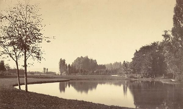 Bois de Boulogne, 1858. Creator: Charles Marville