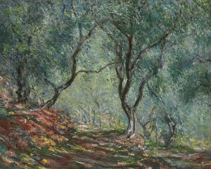 Framed Print : Bois d oliviers au jardin Moreno, 1884. Artist: Monet, Claude (1840-1926)