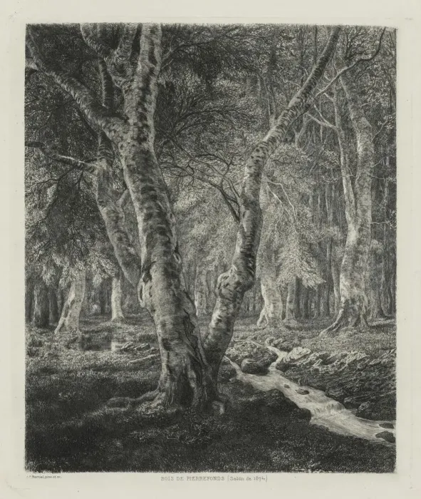 Framed Print : Bois de Pierrefonds, 1874. Creator: Adolphe Theodore Jules Martial Potemont (French Framed Print : Bois de Pierrefonds, 1874. Creator: Adolphe Theodore Jules Martial Potemont (French