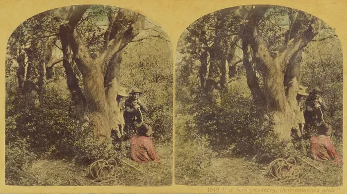 Framed Print : A bold peasantry, their country's pride, about 1860. Creator: London Stereoscopic & Photographic Co Framed Print : A bold peasantry, their country's pride, about 1860. Creator: London Stereoscopic & Photographic Co