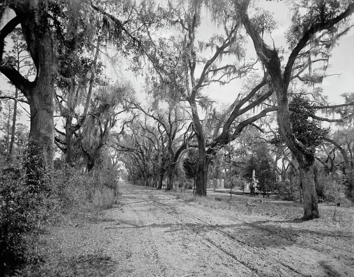 Framed Print : Bonaventure Cemetery, Savannah, Ga. between 1900 and 1906. Creator: William H. Jackson Framed Print : Bonaventure Cemetery, Savannah, Ga. between 1900 and 1906. Creator: William H. Jackson