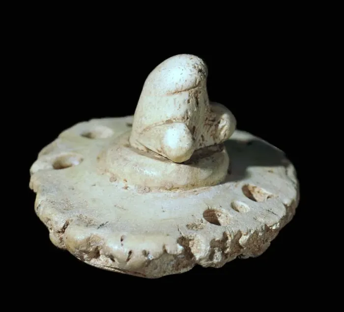 Framed Print : Bone phallic amulet, 3rd century Framed Print : Bone phallic amulet, 3rd century