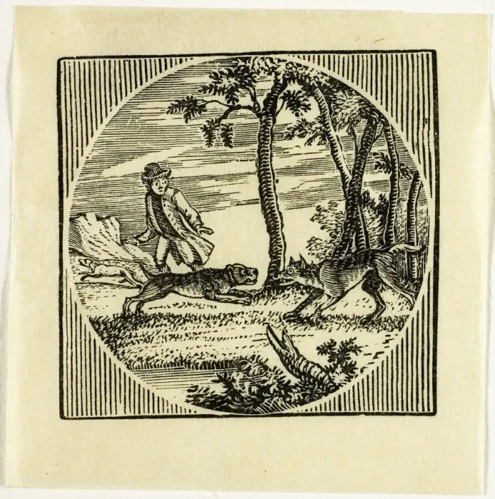Framed Print : Book Illustration, n. d. Creator: Thomas Bewick Framed Print : Book Illustration, n. d. Creator: Thomas Bewick