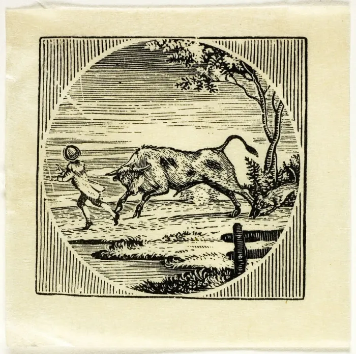 Framed Print : Book Illustration, n. d. Creator: Thomas Bewick Framed Print : Book Illustration, n. d. Creator: Thomas Bewick