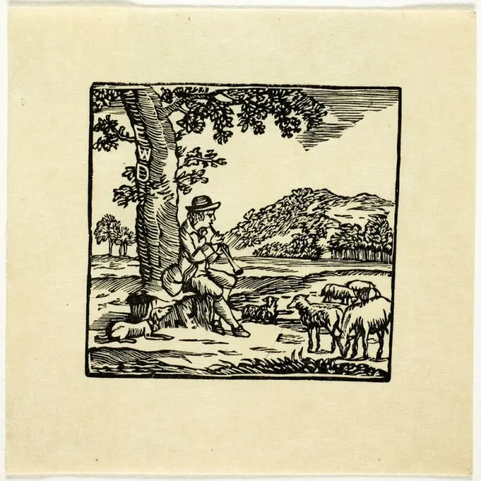 Framed Print : Book Illustration, n. d. Creator: Thomas Bewick Framed Print : Book Illustration, n. d. Creator: Thomas Bewick