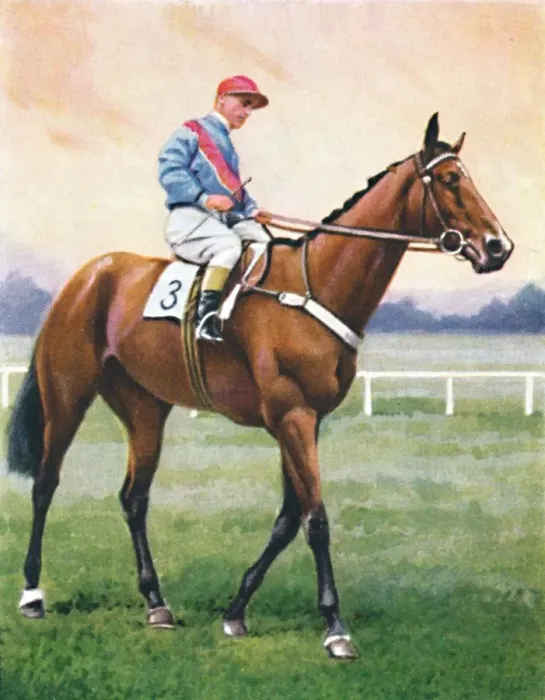Framed Print : Bookseller, Jockey: G. Richards, 1939 Framed Print : Bookseller, Jockey: G. Richards, 1939