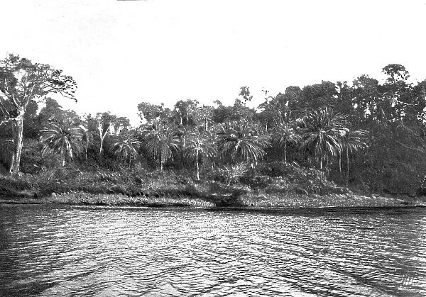 'Bords du Comoe; L'Ouest Africain, 1914. Creator: Unknown