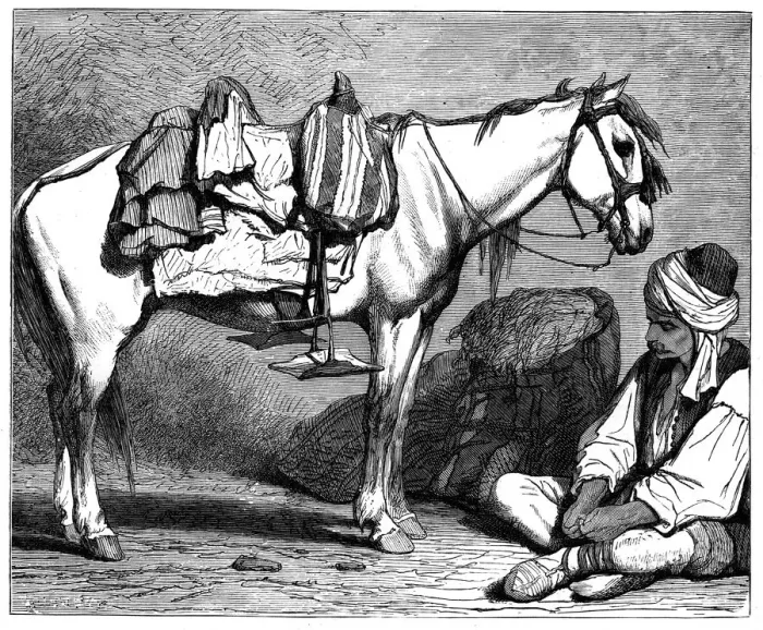 Framed Print : A Bosnian peasant, c1890 Framed Print : A Bosnian peasant, c1890