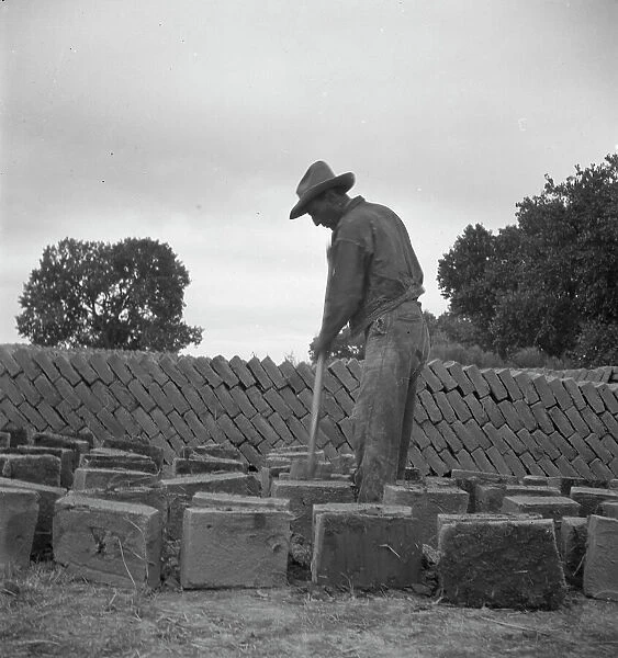 Bosque Farms project - making adobe brick for school and permanent houses, New Mexico, 1935. Creator: Dorothea Lange