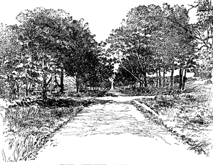Framed Print : The Boswell Centenary: The Avenue, Auchinleck, 1895. Creator: Unknown Framed Print : The Boswell Centenary: The Avenue, Auchinleck, 1895. Creator: Unknown