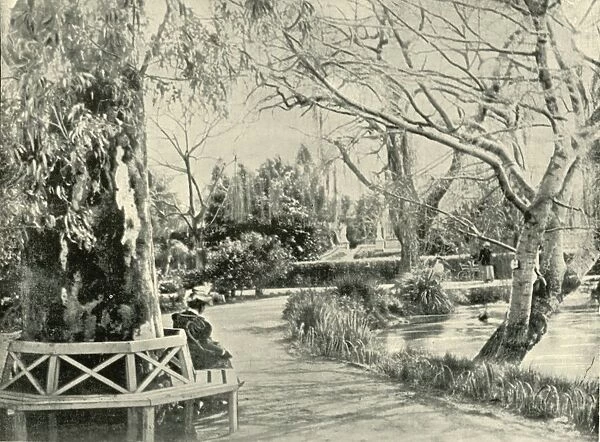 In the Botanic Gardens, Adelaide, 1901. Creator: Unknown