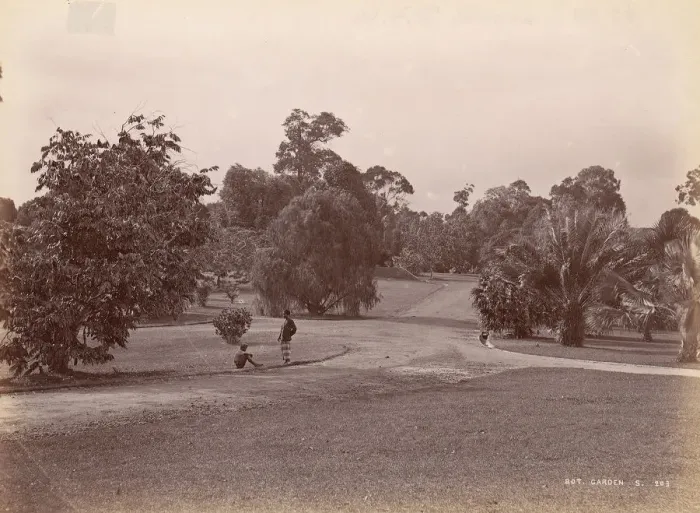 Framed Print : Botanical Garden, 1860s-70s. Creator: Unknown Framed Print : Botanical Garden, 1860s-70s. Creator: Unknown