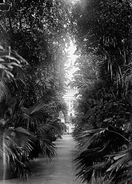Botanical Gardens, 1917 or 1918. Creator: Harris & Ewing. Botanical Gardens, 1917 or 1918. Creator: Harris & Ewing