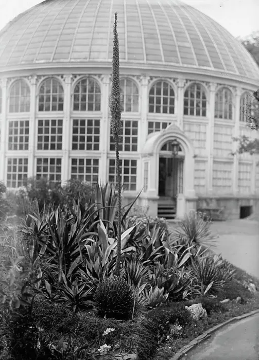 Framed Print : Botanical Gardens, 1917 or 1918. Creator: Harris & Ewing. Botanical Gardens, 1917 or 1918. Creator: Harris & Ewing Framed Print : Botanical Gardens, 1917 or 1918. Creator: Harris & Ewing. Botanical Gardens, 1917 or 1918. Creator: Harris & Ewing