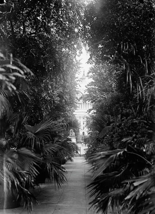 Framed Print : Botanical Gardens, 1917 or 1918. Creator: Harris & Ewing. Botanical Gardens, 1917 or 1918. Creator: Harris & Ewing Framed Print : Botanical Gardens, 1917 or 1918. Creator: Harris & Ewing. Botanical Gardens, 1917 or 1918. Creator: Harris & Ewing