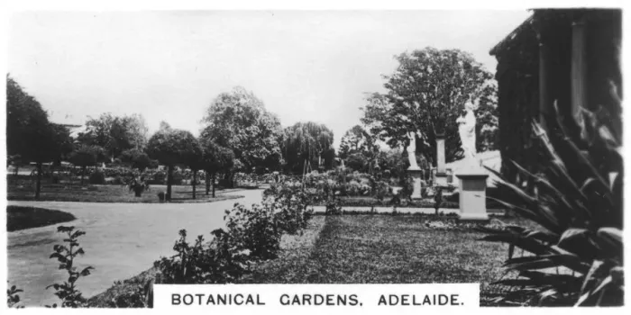 Framed Print : Botanical Gardens, Adelaide, Australia, 1928 Framed Print : Botanical Gardens, Adelaide, Australia, 1928