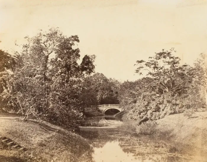 Framed Print : Botanical Gardens, Calcutta, 1850s. Creator: Unknown Framed Print : Botanical Gardens, Calcutta, 1850s. Creator: Unknown