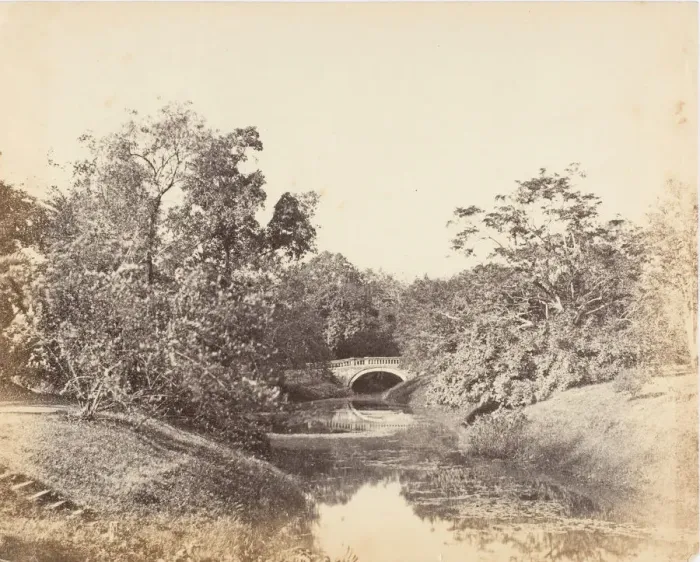 Framed Print : Botanical Gardens, Calcutta, 1850s. Creator: Captain R. B. Hill Framed Print : Botanical Gardens, Calcutta, 1850s. Creator: Captain R. B. Hill