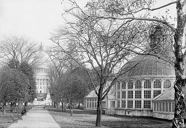 Botanical Gardens At The Capitol, 1917. Creator: Harris & Ewing. Botanical Gardens At The Capitol, 1917. Creator: Harris & Ewing