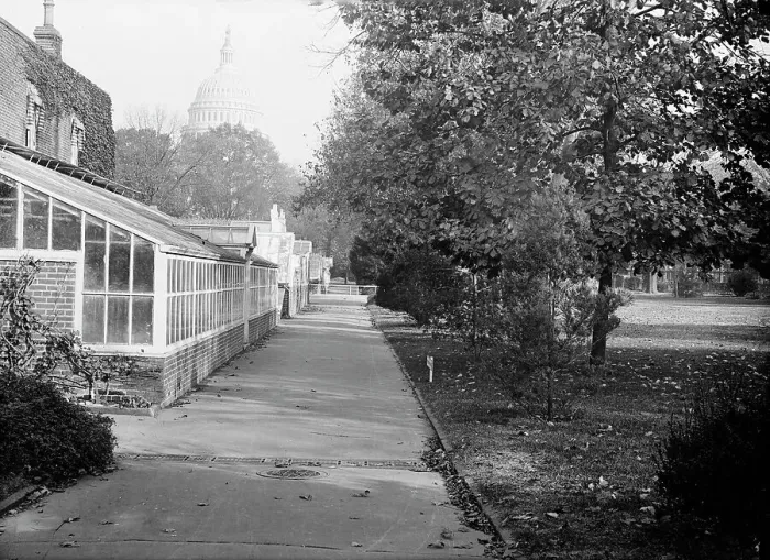 Framed Print : Botanical Gardens At The Capitol, 1917. Creator: Harris & Ewing. Botanical Gardens At The Capitol, 1917. Creator: Harris & Ewing Framed Print : Botanical Gardens At The Capitol, 1917. Creator: Harris & Ewing. Botanical Gardens At The Capitol, 1917. Creator: Harris & Ewing