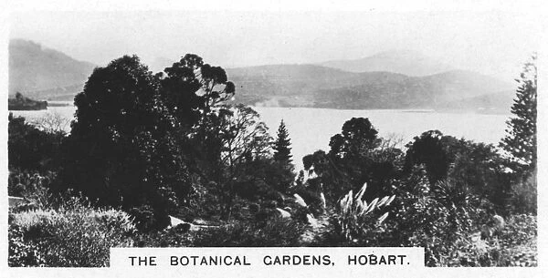 The Botanical Gardens, Hobart, Tasmania, 1928