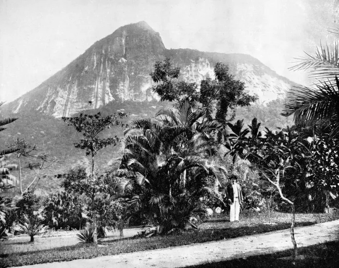 Framed Print : Botanical Gardens and Mount Corcovado, Rio De Janeiro, Brazil, 1893. Artist: John L Stoddard Framed Print : Botanical Gardens and Mount Corcovado, Rio De Janeiro, Brazil, 1893. Artist: John L Stoddard