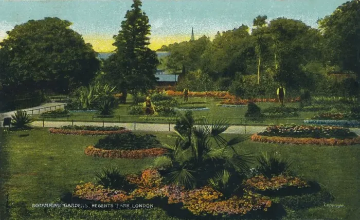 Framed Print : Botanical Gardens, Regents Park, London, c1910 Framed Print : Botanical Gardens, Regents Park, London, c1910