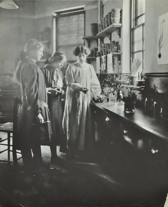 Framed Print : Botany lesson, Chelsea Secondary School (Hortensia Road School), London, 1911 Framed Print : Botany lesson, Chelsea Secondary School (Hortensia Road School), London, 1911