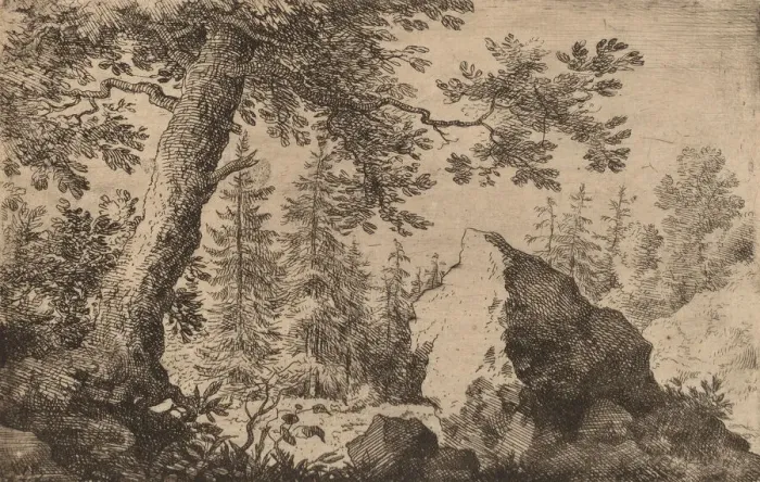 Framed Print : Boulder in the Woods, probably c. 1645 / 1656. Creator: Allart van Everdingen Framed Print : Boulder in the Woods, probably c. 1645 / 1656. Creator: Allart van Everdingen