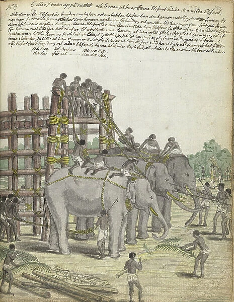 A Bound Elephant being led from the Last Section of the trap, the Prison Corral, 1785. Creator: Jan Brandes