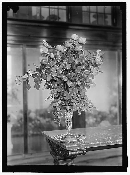 Bouquet, between 1911 and 1920. Creator: Harris & Ewing. Bouquet, between 1911 and 1920. Creator: Harris & Ewing