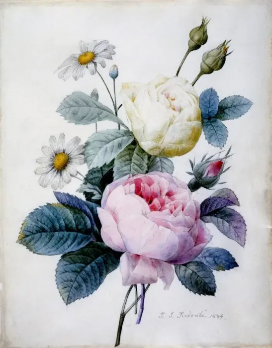 Framed Print : Bouquet of Roses with Daisies, 1834 Framed Print : Bouquet of Roses with Daisies, 1834