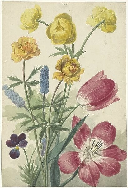 Bouquet of tulips, pansies, grape hyacinths and dotters, 1763-1825. Creator: Willem van Leen