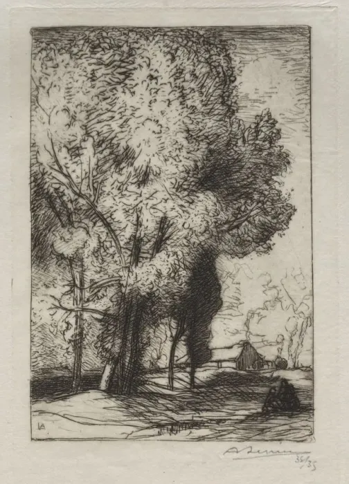 Framed Print : Bourrine dans les Peupliers, 1911. Creator: Auguste Louis Lepere (French, 1849-1918) Framed Print : Bourrine dans les Peupliers, 1911. Creator: Auguste Louis Lepere (French, 1849-1918)