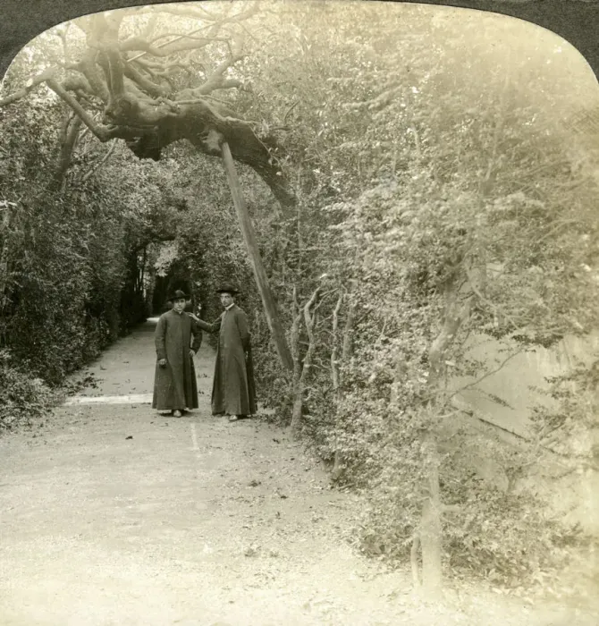 Framed Print : Bower of St Anthony, Vatican Gardens, Rome, Italy. Artist: Underwood & Underwood Framed Print : Bower of St Anthony, Vatican Gardens, Rome, Italy. Artist: Underwood & Underwood