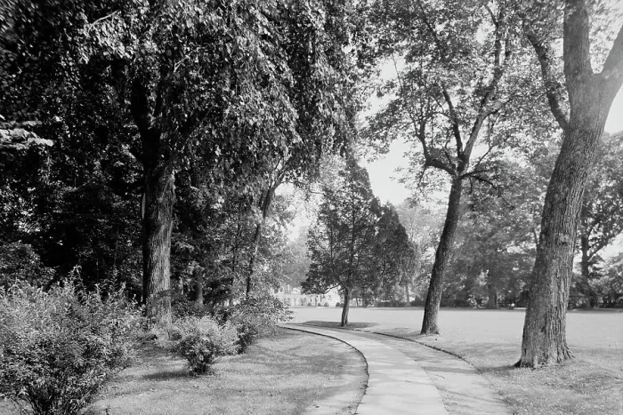Framed Print : Bowling green & west approach, Mt. Vernon, Va. between 1900 and 1915. Creator: William H. Jackson. Bowling green & west approach, Mt. Vernon, Va. between 1900 and 1915. Creator: William H. Jackson Framed Print : Bowling green & west approach, Mt. Vernon, Va. between 1900 and 1915. Creator: William H. Jackson. Bowling green & west approach, Mt. Vernon, Va. between 1900 and 1915. Creator: William H. Jackson