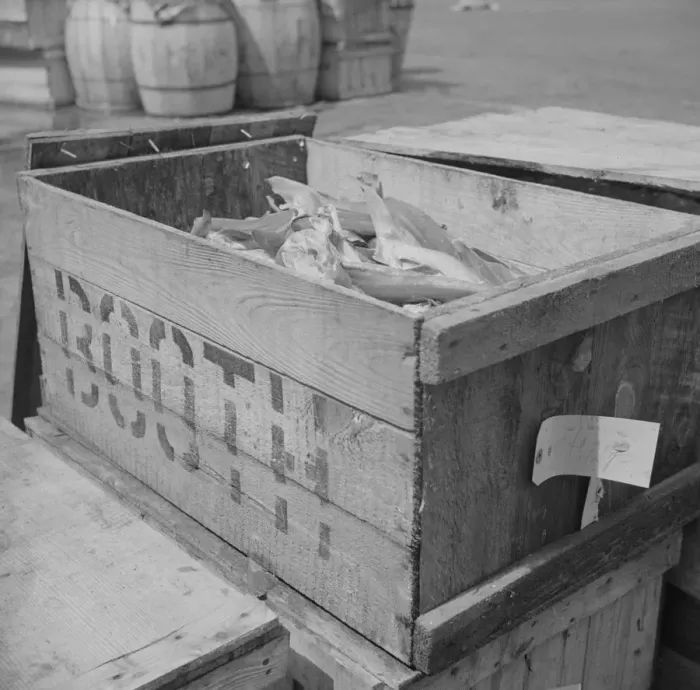 Framed Print : Box of fish at the Fulton fish market waiting to be iced, New York, 1943. Creator: Gordon Parks Framed Print : Box of fish at the Fulton fish market waiting to be iced, New York, 1943. Creator: Gordon Parks