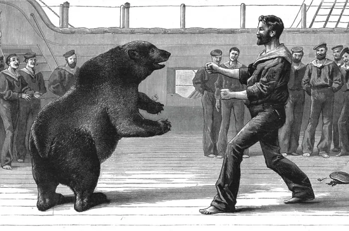 Framed Print : A Boxing Match on board H.M.S.'Cambridge'; The pet bear Bob has now been transferred to the Zool Creator: Unknown. A Boxing Match on board H.M.S.'Cambridge'; The pet bear Bob has now been transferred to the Zool Creator Framed Print : A Boxing Match on board H.M.S.'Cambridge'; The pet bear Bob has now been transferred to the Zool Creator: Unknown. A Boxing Match on board H.M.S.'Cambridge'; The pet bear Bob has now been transferred to the Zool Creator