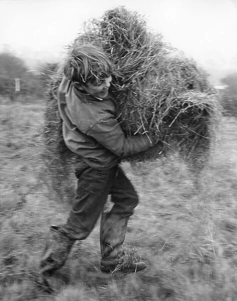 Boy carrying hay, c1960s