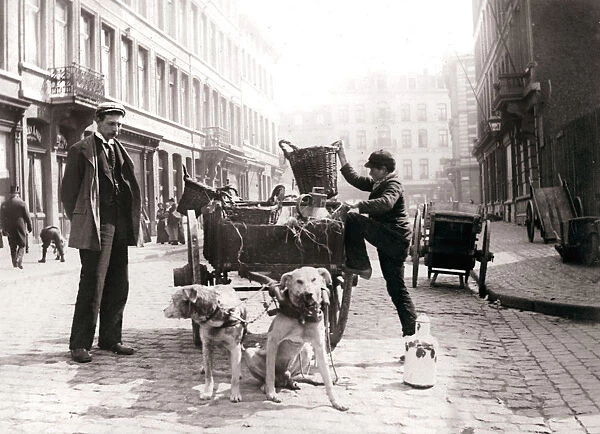 Boy with dogcart, Antwerp, 1898. Artist: James Batkin