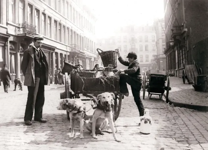 Framed Print : Boy with dogcart, Antwerp, 1898. Artist: James Batkin Framed Print : Boy with dogcart, Antwerp, 1898. Artist: James Batkin